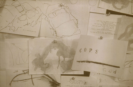 100 cops installation detail